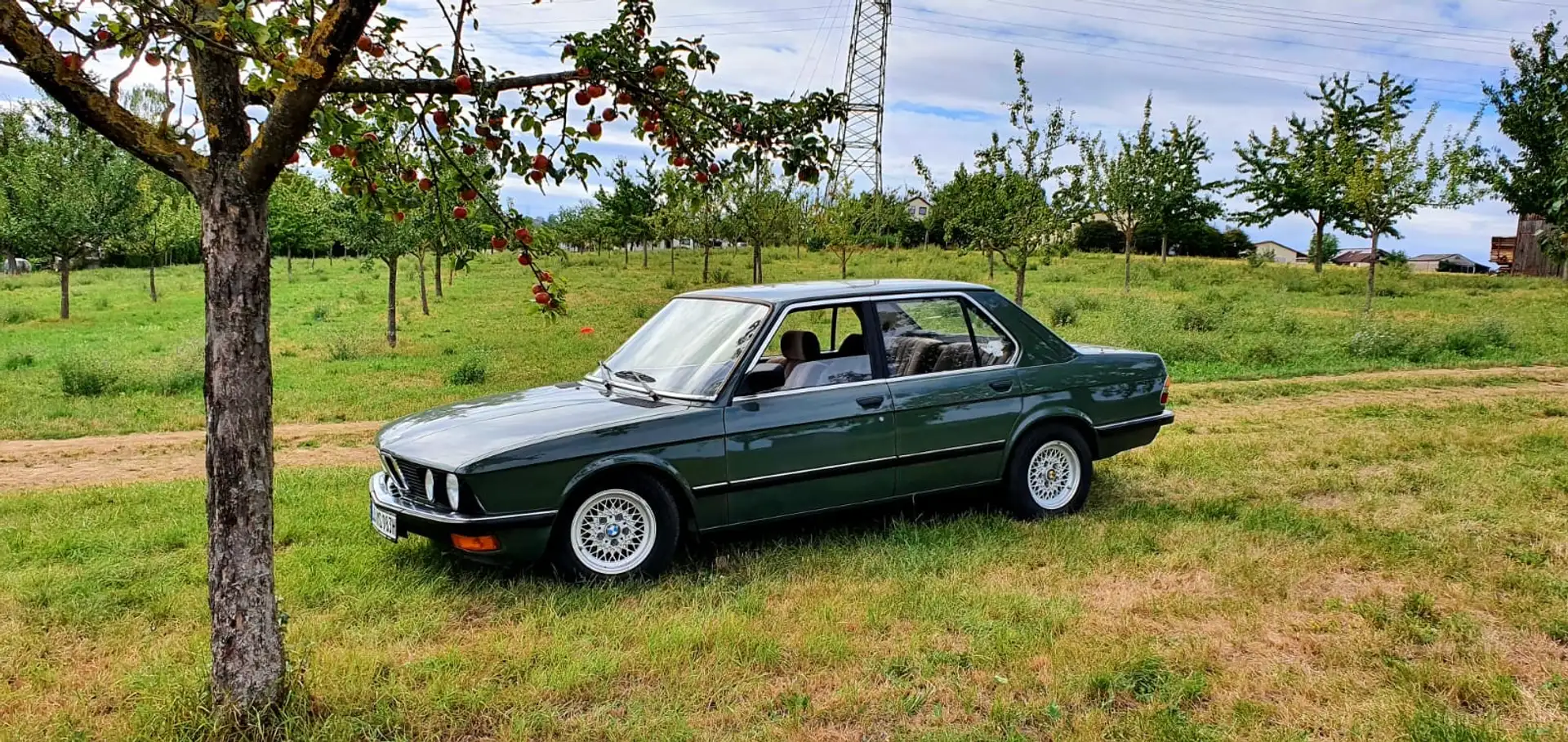 BMW 520 BMW E28 520i Oldtimer - 1