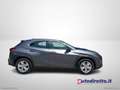 Lexus UX 250h 250 H Hybrid Business Grigio - thumbnail 12