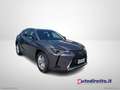 Lexus UX 250h 250 H Hybrid Business Grigio - thumbnail 3