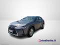 Lexus UX 250h 250 H Hybrid Business Grigio - thumbnail 1
