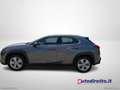 Lexus UX 250h 250 H Hybrid Business Grigio - thumbnail 8