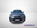 Lexus UX 250h 250 H Hybrid Business Grigio - thumbnail 14