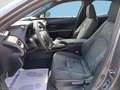 Lexus UX 250h 250 H Hybrid Business Grigio - thumbnail 13