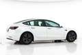 Tesla Model 3 Standard Plus PANO LEDER ASSISTENZ Weiß - thumbnail 37