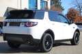 Land Rover Discovery Sport SE AWD *ASSIST-KAMERA-PANORAMA* Weiß - thumbnail 4