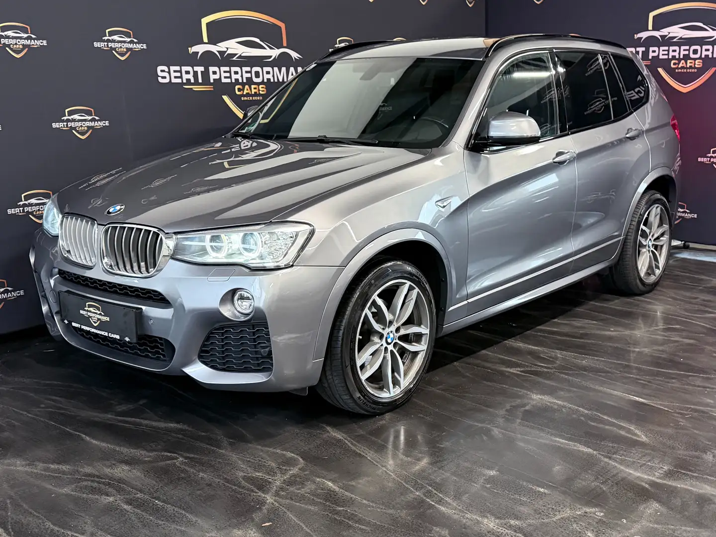 BMW X3 xDrive 30 d !!Steuerkette Rasselt!!**M-Paket** Grau - 1