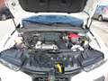 Alfa Romeo Tonale IBRIDA Veloce 1.5 160 Mhev Fwd Weiß - thumbnail 19