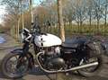 Triumph Street Twin 900 Alb - thumbnail 14