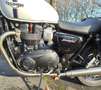 Triumph Street Twin 900 Alb - thumbnail 13