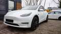 Tesla Model Y Performance Dual AWD Autopilot Blanco - thumbnail 1