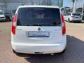 Skoda Roomster Praktik 1.6 TDI 1.HAND SKODA SCHECKHEFT Weiß - thumbnail 4
