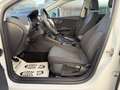 SEAT Leon ST Reference 1,6 TDI CR Start-Stop ERSTBESITZ - thumbnail 15