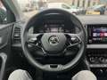 Skoda Karoq Ambition TSI Grau - thumbnail 9
