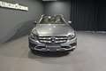 Mercedes-Benz E 400 d 4M T All-Terrain AVANTGARDE/360'/DISTRO Gris - thumbnail 10