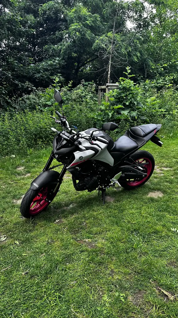 Yamaha MT-03 - 2