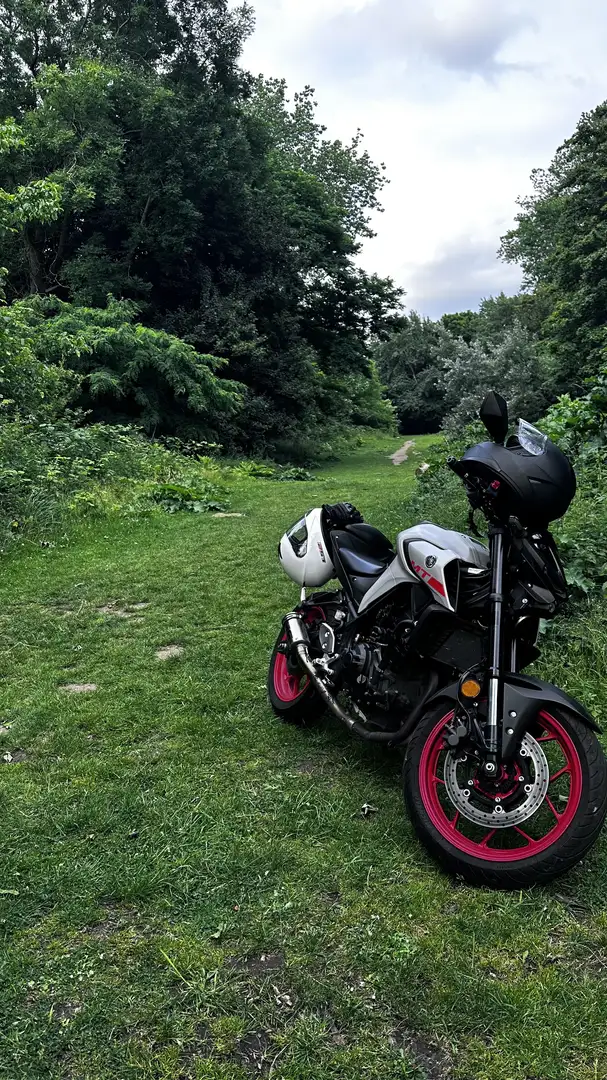 Yamaha MT-03 - 1