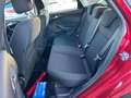 Ford Focus Lim. Trend 1- Hand nur 24.000Tkm Rouge - thumbnail 11