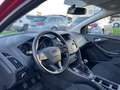Ford Focus Lim. Trend 1- Hand nur 24.000Tkm Rouge - thumbnail 7