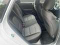 Kia Ceed / cee'd Kombi Vision Sitzheizung Weiß - thumbnail 6