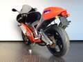 Aprilia RS 250 Motor überholt - Lieferung weltweit - Rosso - thumbnail 6