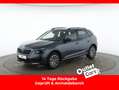 Skoda Kamiq 1.0 TSI Ambition ASSIST+CARPLAY+AHK+LED Grau - thumbnail 1