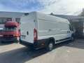 Peugeot Boxer Kasten Hochraum 435 L4H2 Pro Avantage Plus Weiß - thumbnail 13