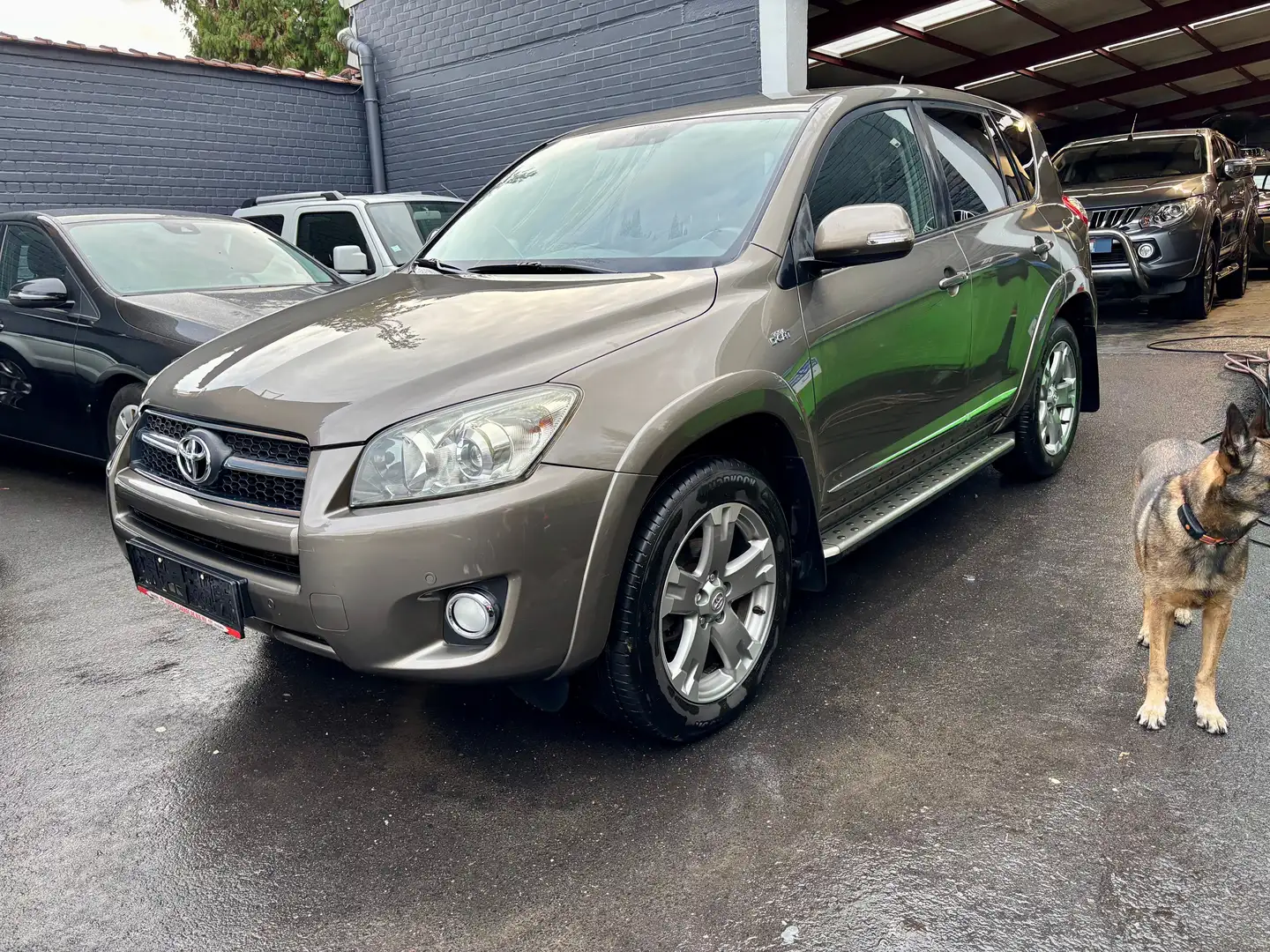 Toyota RAV 4 2.2 D-CAT 150 4x4 VXE * Belge car pass * tbe Bronze - 1