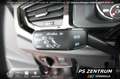 Volkswagen Polo 1.0 Comfortline NAVI PANO EPH Klima Gris - thumbnail 21