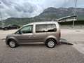 Volkswagen Caddy P.Rib. 2.0 TDI 102CV Trendline ALL. OSPITI DISABIL Grau - thumbnail 6