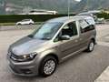 Volkswagen Caddy P.Rib. 2.0 TDI 102CV Trendline ALL. OSPITI DISABIL Grau - thumbnail 5