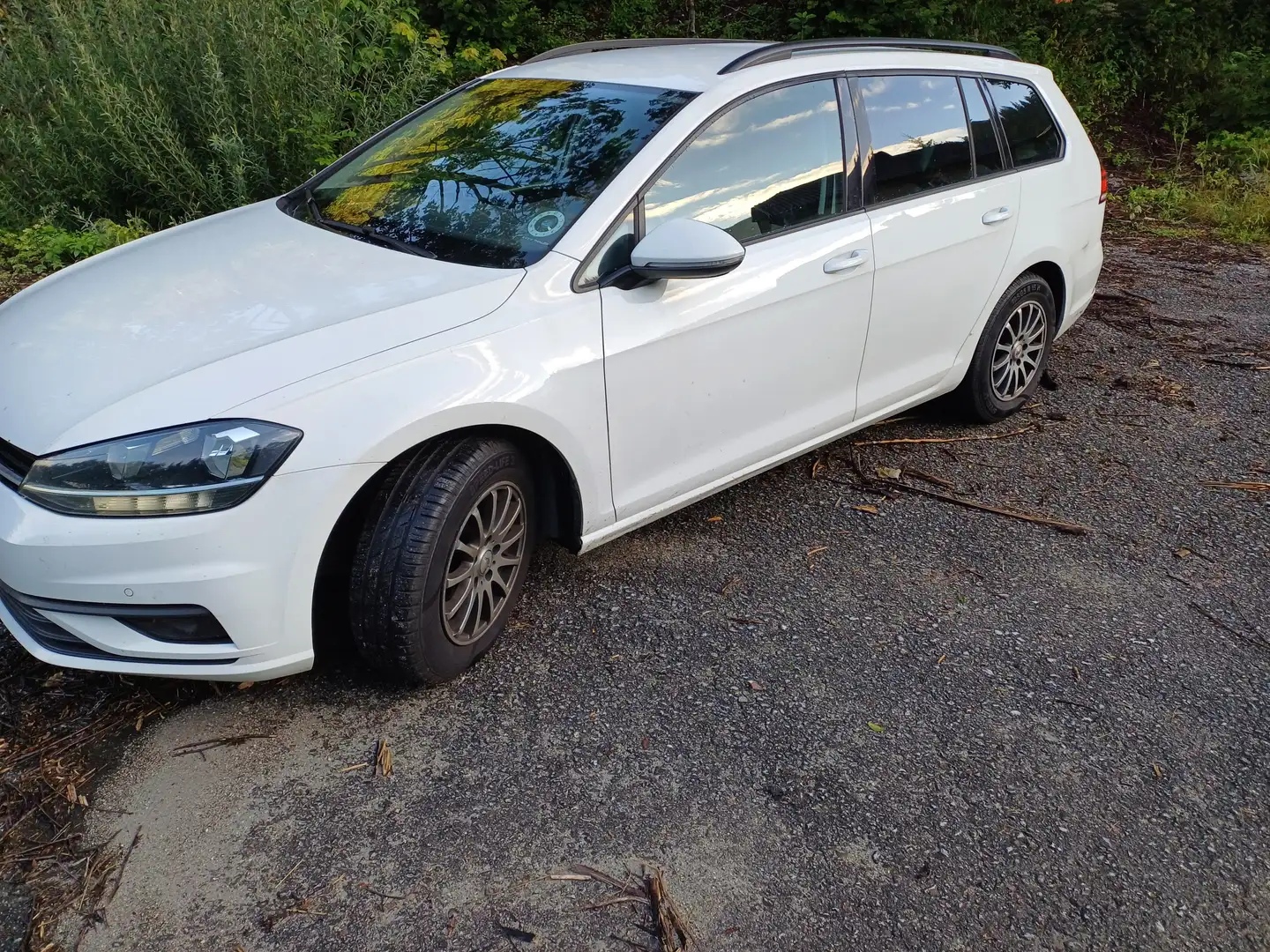 Volkswagen Golf Variant Golf Variant Trendline 1,6 TDI Trendline Weiß - 2