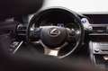 Lexus IS 300 300H HYBRID BUS.Line Pro, El.sch.dak, Ad.Cruise, L Gris - thumbnail 37