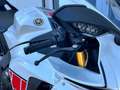 Yamaha YZF-R1 Sondermodell 60 World GP original neuwertig Alb - thumbnail 16