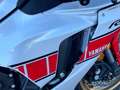 Yamaha YZF-R1 Sondermodell 60 World GP original neuwertig Alb - thumbnail 3