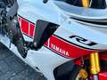 Yamaha YZF-R1 Sondermodell 60 World GP original neuwertig Alb - thumbnail 15