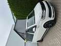 Volkswagen T6 California DSG Ocean - thumbnail 3