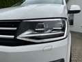 Volkswagen T6 California DSG Ocean - thumbnail 12