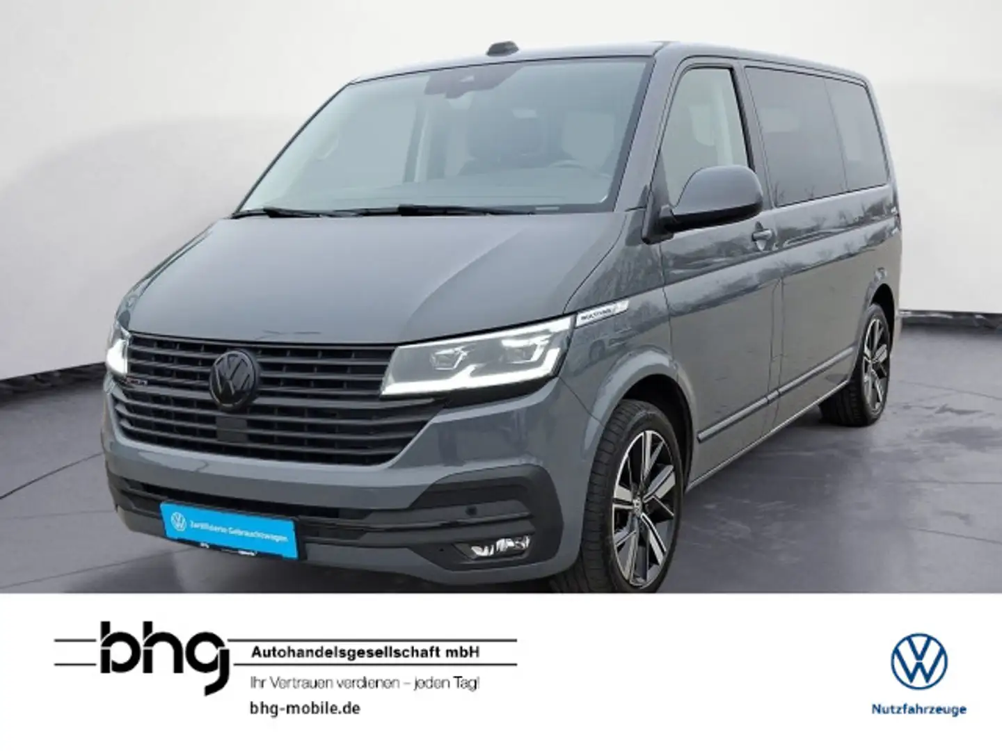 Volkswagen T6 Multivan T6.1 DSG 4Motion AHK Kamera Standhzg Grau - 1