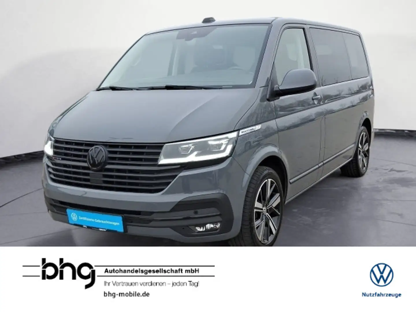 Volkswagen T6 Multivan T6.1 DSG 4Motion AHK Kamera Standhzg Grau - 1