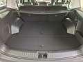 Hyundai SANTA FE HEV 5-Sitzer 1.6 T-GDI 4WD Intro Grau - thumbnail 10