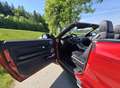 Land Rover Range Rover Evoque Cabrio HSE Dynamic 2,0 TD4 Aut. Motor + Turbo Neu - thumbnail 7