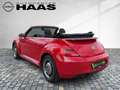 Volkswagen Beetle Cabriolet Design Automatik*RETROFELGEN* Rood - thumbnail 9
