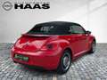 Volkswagen Beetle Cabriolet Design Automatik*RETROFELGEN* Rood - thumbnail 5