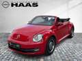 Volkswagen Beetle Cabriolet Design Automatik*RETROFELGEN* Rood - thumbnail 7