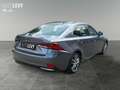Lexus IS 300 h Hybrid Executive *KAMERA*LED*PDC*DAB* Gri - thumbnail 6