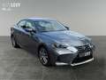 Lexus IS 300 h Hybrid Executive *KAMERA*LED*PDC*DAB* Gri - thumbnail 8