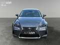 Lexus IS 300 h Hybrid Executive *KAMERA*LED*PDC*DAB* Gri - thumbnail 9