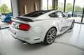 Ford Mustang GT 5,0 ROUSH ANDROID BORLA TOP Silber - thumbnail 5