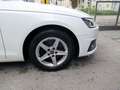 Audi A4 Avant 30TDI DSG Navi/LED/PDC/SHZ/Tempo Weiß - thumbnail 7