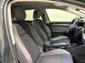 Volkswagen Golf Variant VIII Variant Alltrack 4M 2.0 TDI DSG AHK Grau - thumbnail 20